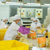 Liji Wholesale Noodles الصينية على الطراز الصيني