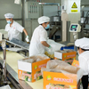 Liji Grain Products Restaurant Wholesale Chow Mein Healthy Fried Friedles